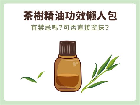 茶樹精油 寵物|精油對寵物有害嗎？愛用精油又養寵物？專家教你如何避開風險